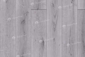 Дуб Катания