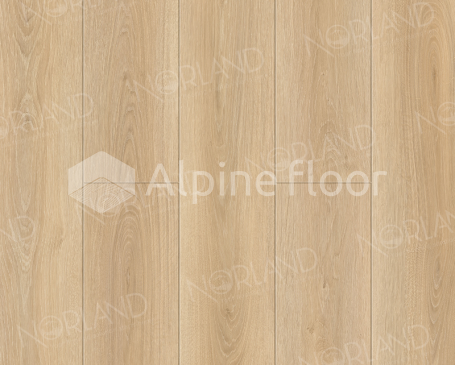  - 5