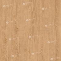 плитка SPC ламинат Oak Kisuca