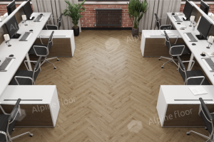 Дуб Прованс