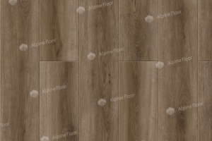 Дуб Болонья